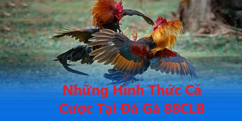 Những cửa cược siêu hấp dẫn tại nền tảng mà bạn không thể bỏ lỡ