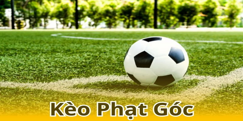 Bet thủ có thể đặt cược vào nhiều loại kèo góc khác nhau